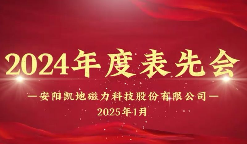 公司召開2024年度表先會，對37名優秀員工進行表彰